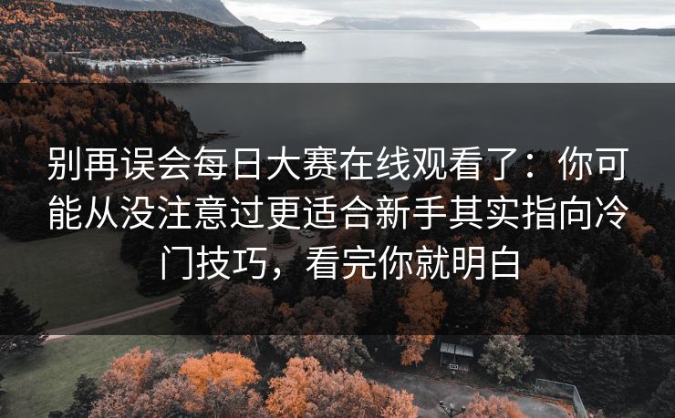 别再误会每日大赛在线观看了：你可能从没注意过更适合新手其实指向冷门技巧，看完你就明白  第1张